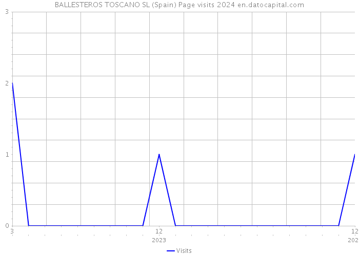 BALLESTEROS TOSCANO SL (Spain) Page visits 2024 