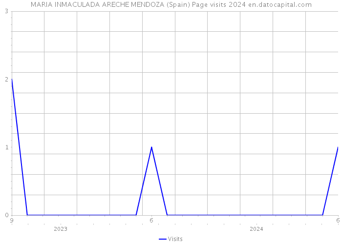 MARIA INMACULADA ARECHE MENDOZA (Spain) Page visits 2024 