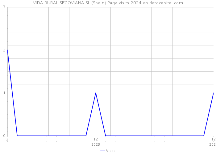 VIDA RURAL SEGOVIANA SL (Spain) Page visits 2024 