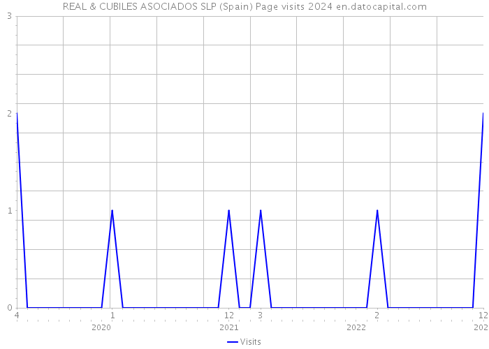 REAL & CUBILES ASOCIADOS SLP (Spain) Page visits 2024 