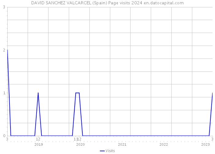 DAVID SANCHEZ VALCARCEL (Spain) Page visits 2024 