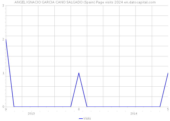ANGEL IGNACIO GARCIA CANO SALGADO (Spain) Page visits 2024 