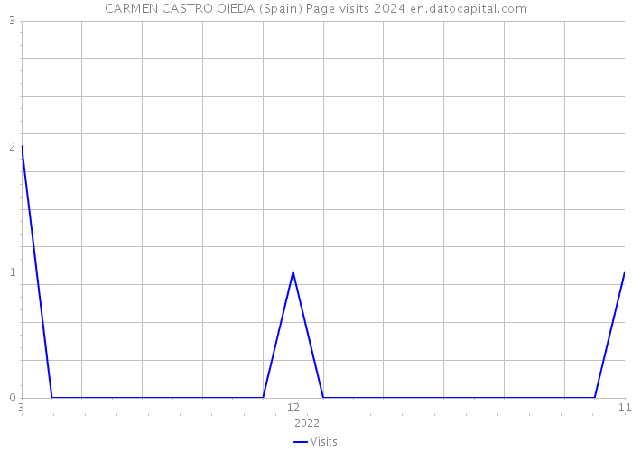 CARMEN CASTRO OJEDA (Spain) Page visits 2024 