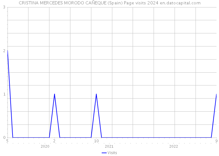 CRISTINA MERCEDES MORODO CAÑEQUE (Spain) Page visits 2024 