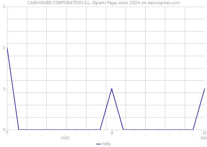 CAMVINVER CORPORATION S.L. (Spain) Page visits 2024 