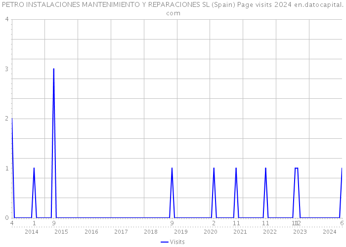 PETRO INSTALACIONES MANTENIMIENTO Y REPARACIONES SL (Spain) Page visits 2024 