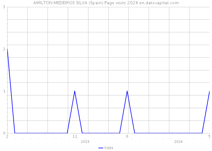 AMILTON MEDEIROS SILVA (Spain) Page visits 2024 