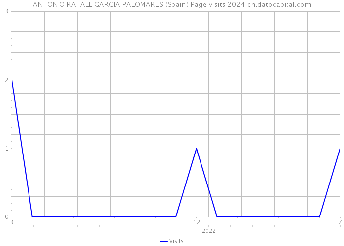 ANTONIO RAFAEL GARCIA PALOMARES (Spain) Page visits 2024 