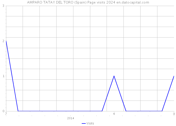 AMPARO TATAY DEL TORO (Spain) Page visits 2024 