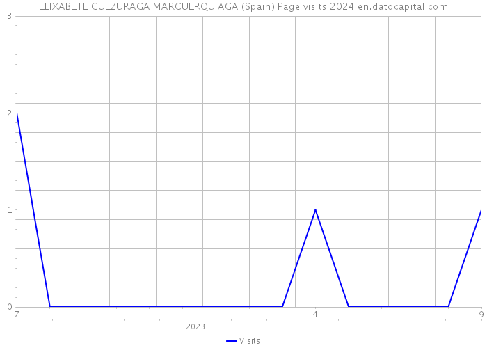 ELIXABETE GUEZURAGA MARCUERQUIAGA (Spain) Page visits 2024 