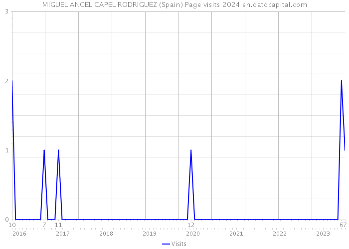 MIGUEL ANGEL CAPEL RODRIGUEZ (Spain) Page visits 2024 