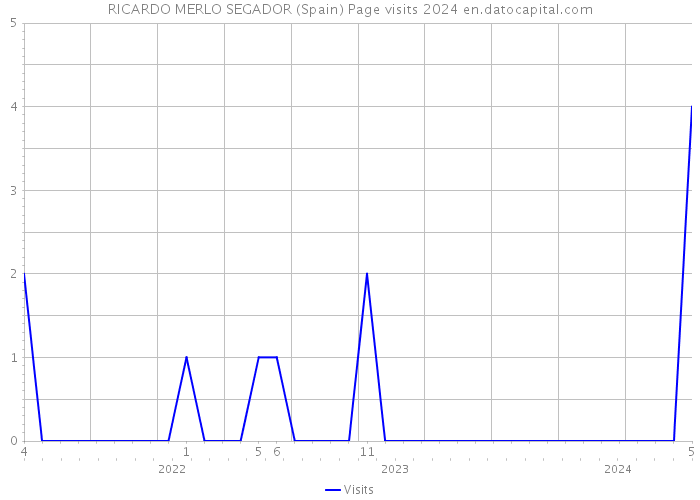 RICARDO MERLO SEGADOR (Spain) Page visits 2024 