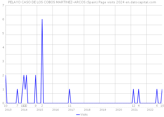 PELAYO CASO DE LOS COBOS MARTINEZ-ARCOS (Spain) Page visits 2024 