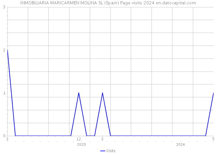 INMOBILIARIA MARICARMEN MOLINA SL (Spain) Page visits 2024 