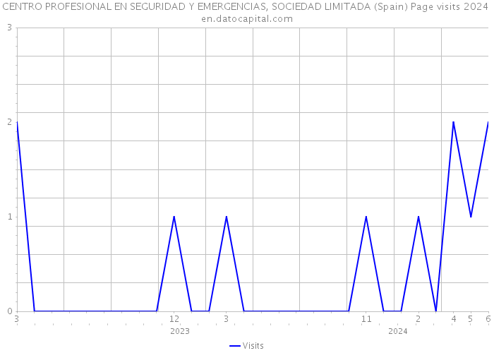 CENTRO PROFESIONAL EN SEGURIDAD Y EMERGENCIAS, SOCIEDAD LIMITADA (Spain) Page visits 2024 