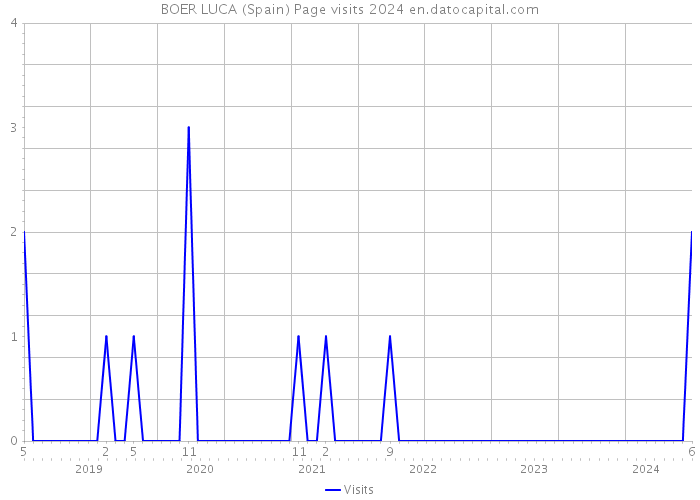 BOER LUCA (Spain) Page visits 2024 