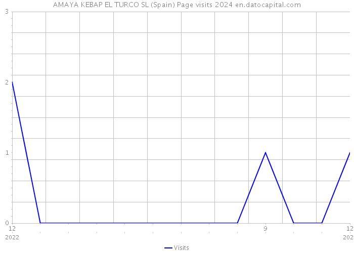 AMAYA KEBAP EL TURCO SL (Spain) Page visits 2024 