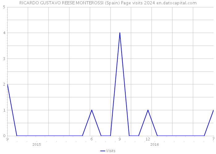 RICARDO GUSTAVO REESE MONTEROSSI (Spain) Page visits 2024 