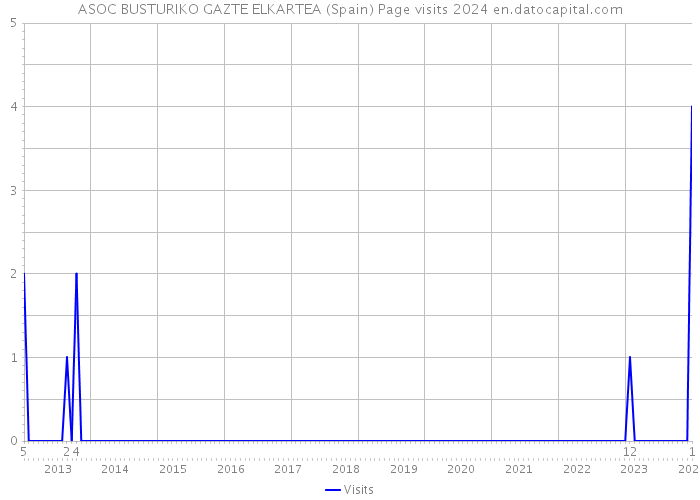 ASOC BUSTURIKO GAZTE ELKARTEA (Spain) Page visits 2024 