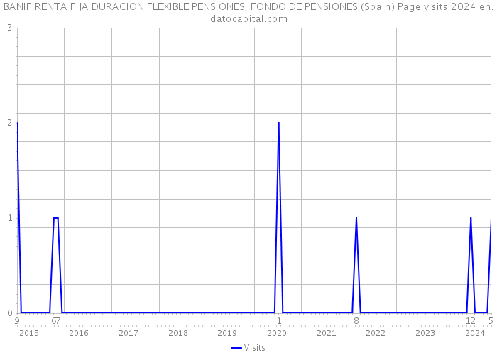 BANIF RENTA FIJA DURACION FLEXIBLE PENSIONES, FONDO DE PENSIONES (Spain) Page visits 2024 