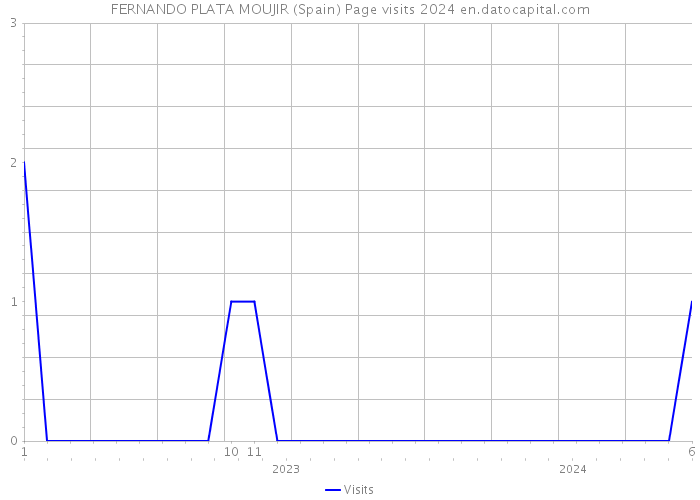 FERNANDO PLATA MOUJIR (Spain) Page visits 2024 