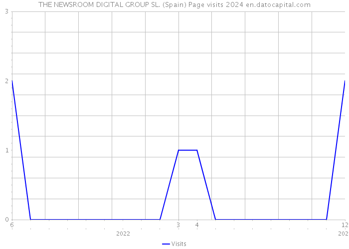 THE NEWSROOM DIGITAL GROUP SL. (Spain) Page visits 2024 