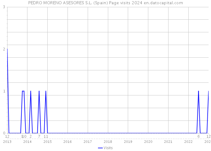 PEDRO MORENO ASESORES S.L. (Spain) Page visits 2024 