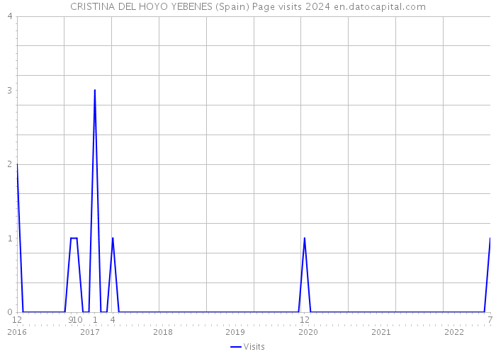 CRISTINA DEL HOYO YEBENES (Spain) Page visits 2024 