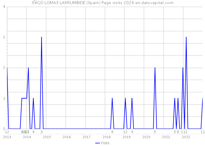 IÑIGO LOMAS LARRUMBIDE (Spain) Page visits 2024 