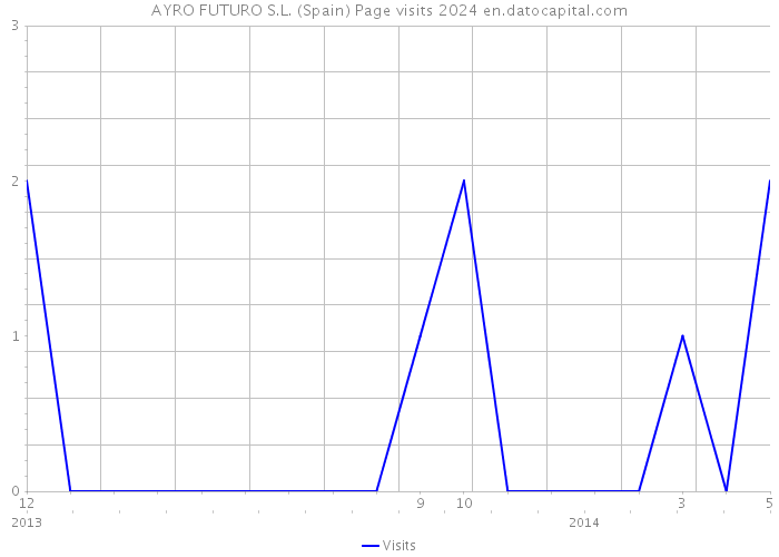 AYRO FUTURO S.L. (Spain) Page visits 2024 