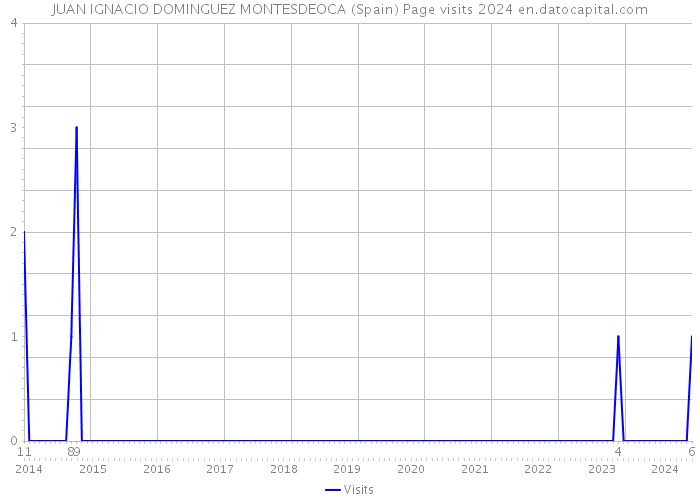 JUAN IGNACIO DOMINGUEZ MONTESDEOCA (Spain) Page visits 2024 