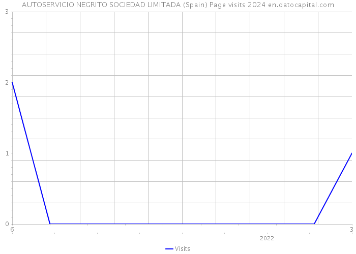 AUTOSERVICIO NEGRITO SOCIEDAD LIMITADA (Spain) Page visits 2024 