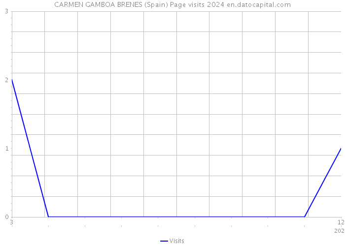 CARMEN GAMBOA BRENES (Spain) Page visits 2024 