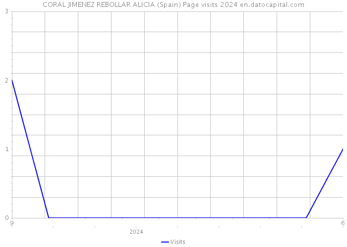 CORAL JIMENEZ REBOLLAR ALICIA (Spain) Page visits 2024 