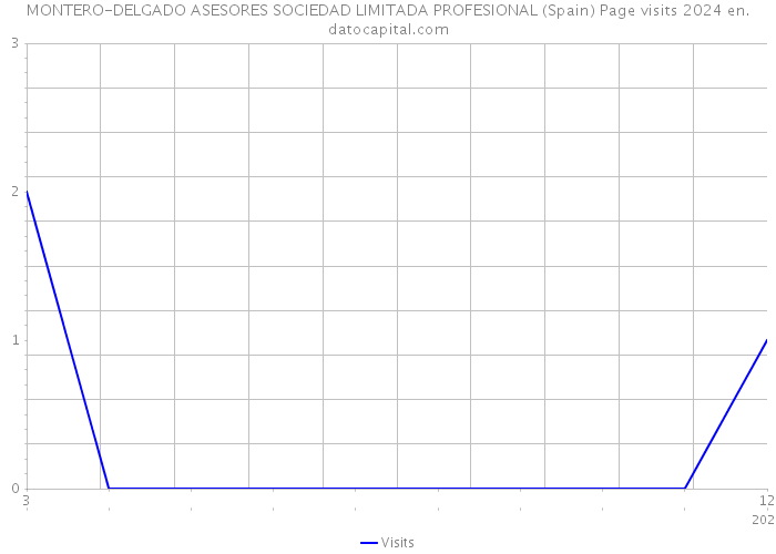 MONTERO-DELGADO ASESORES SOCIEDAD LIMITADA PROFESIONAL (Spain) Page visits 2024 