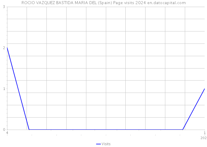 ROCIO VAZQUEZ BASTIDA MARIA DEL (Spain) Page visits 2024 
