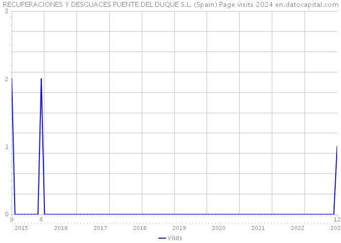 RECUPERACIONES Y DESGUACES PUENTE DEL DUQUE S.L. (Spain) Page visits 2024 