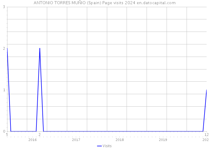 ANTONIO TORRES MUÑIO (Spain) Page visits 2024 