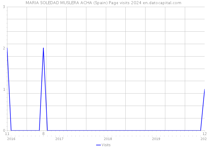 MARIA SOLEDAD MUSLERA ACHA (Spain) Page visits 2024 