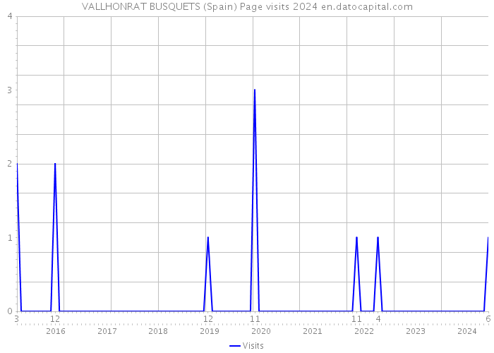 VALLHONRAT BUSQUETS (Spain) Page visits 2024 