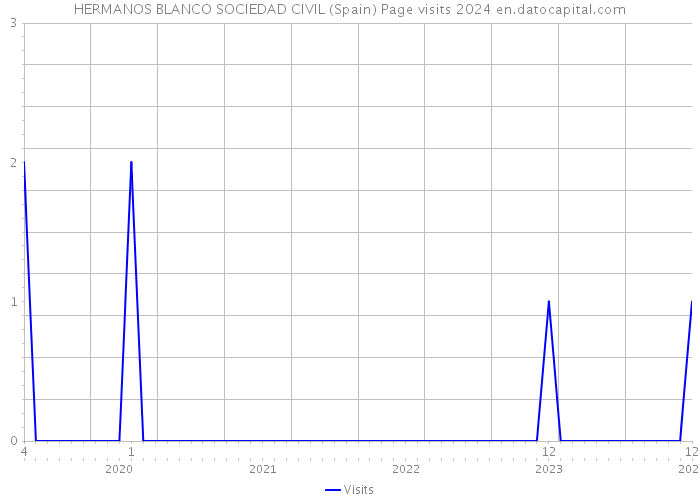 HERMANOS BLANCO SOCIEDAD CIVIL (Spain) Page visits 2024 