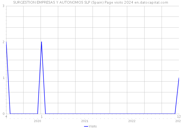 SURGESTION EMPRESAS Y AUTONOMOS SLP (Spain) Page visits 2024 