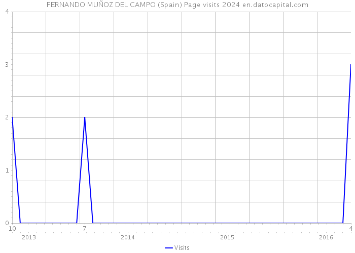 FERNANDO MUÑOZ DEL CAMPO (Spain) Page visits 2024 