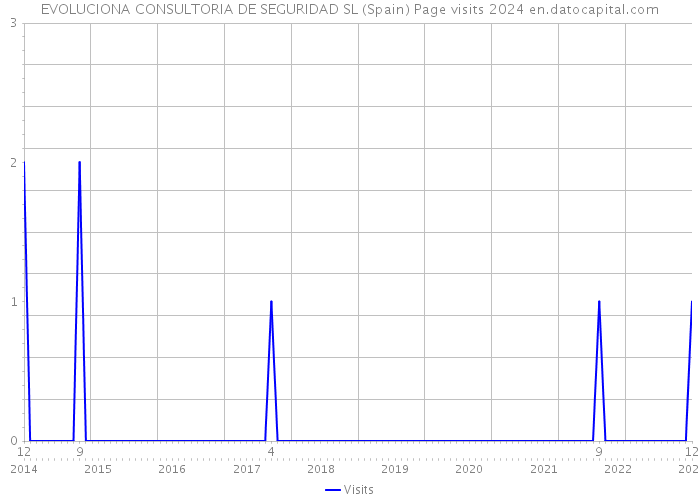 EVOLUCIONA CONSULTORIA DE SEGURIDAD SL (Spain) Page visits 2024 