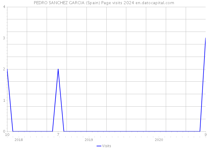 PEDRO SANCHEZ GARCIA (Spain) Page visits 2024 