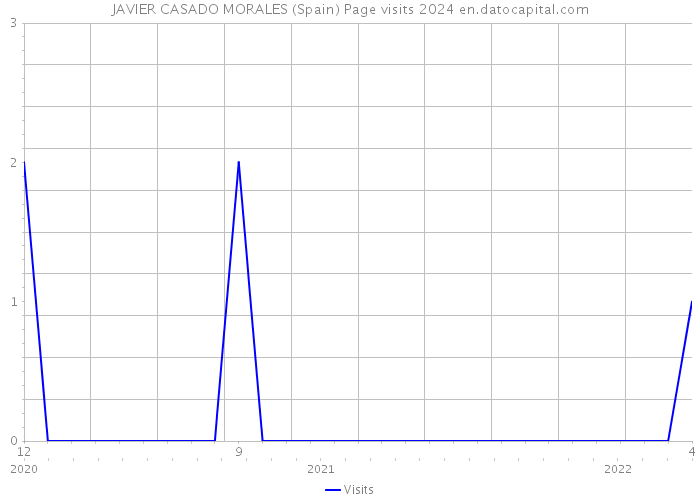 JAVIER CASADO MORALES (Spain) Page visits 2024 