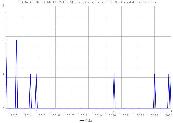 TRABAJADORES CARNICOS DEL SUR SL (Spain) Page visits 2024 