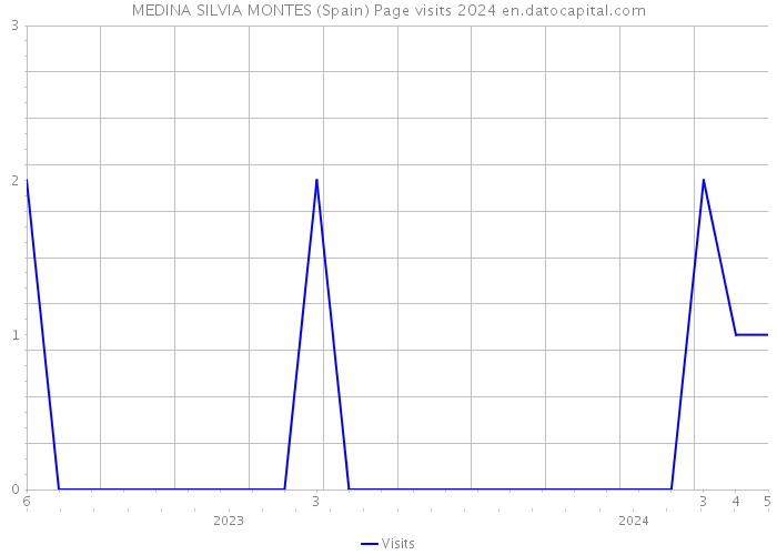 MEDINA SILVIA MONTES (Spain) Page visits 2024 