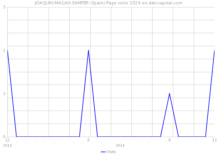 JOAQUIN MAGAN SAMPER (Spain) Page visits 2024 