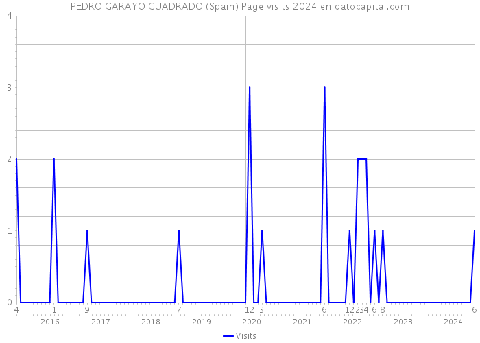 PEDRO GARAYO CUADRADO (Spain) Page visits 2024 